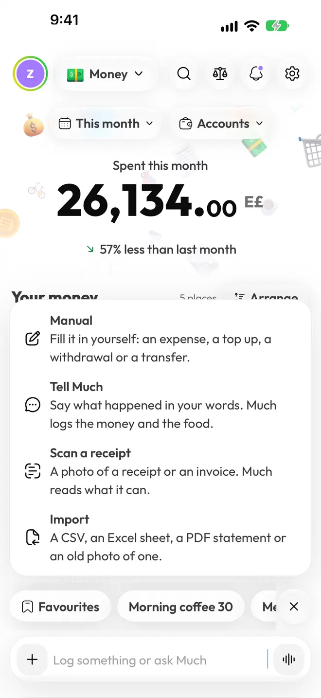 Ways to log: Manual, Tell Much, Scan a receipt, Import